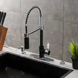 Paris Single-Handle 1-Hole Deck Mount Pre-Rinse Kitchen Faucet