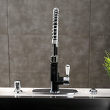 Paris Single-Handle 1-Hole Deck Mount Pre-Rinse Kitchen Faucet