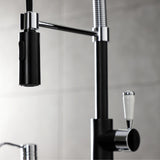 Paris Single-Handle 1-Hole Deck Mount Pre-Rinse Kitchen Faucet