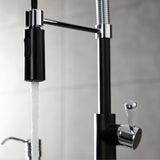 Paris Single-Handle 1-Hole Deck Mount Pre-Rinse Kitchen Faucet