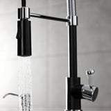 Paris Single-Handle 1-Hole Deck Mount Pre-Rinse Kitchen Faucet