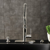 Concord Single-Handle 1-Hole Deck Mount Pre-Rinse Kitchen Faucet