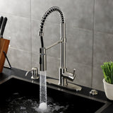 Concord Single-Handle 1-Hole Deck Mount Pre-Rinse Kitchen Faucet