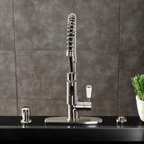 Paris Single-Handle 1-Hole Deck Mount Pre-Rinse Kitchen Faucet