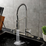 Paris Single-Handle 1-Hole Deck Mount Pre-Rinse Kitchen Faucet