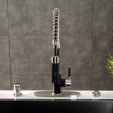 Kaiser Single-Handle 1-Hole Deck Mount Pre-Rinse Kitchen Faucet