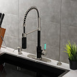 Kaiser Single-Handle 1-Hole Deck Mount Pre-Rinse Kitchen Faucet