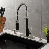 Kaiser Single-Handle 1-Hole Deck Mount Pre-Rinse Kitchen Faucet