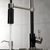 Paris Single-Handle 1-Hole Deck Mount Pre-Rinse Kitchen Faucet