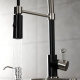 Paris Single-Handle 1-Hole Deck Mount Pre-Rinse Kitchen Faucet