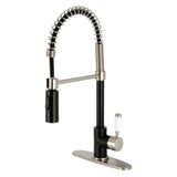 Paris Single-Handle 1-Hole Deck Mount Pre-Rinse Kitchen Faucet