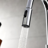 Continental Single-Handle Pull-Down Kitchen Faucet