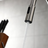 Continental Single-Handle Pull-Down Kitchen Faucet