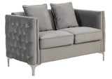 Bayberry Gray Velvet Loveseat with 2 Pillows