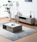 Apollo Gray Oak Finish TV Stand and Coffee Table Set